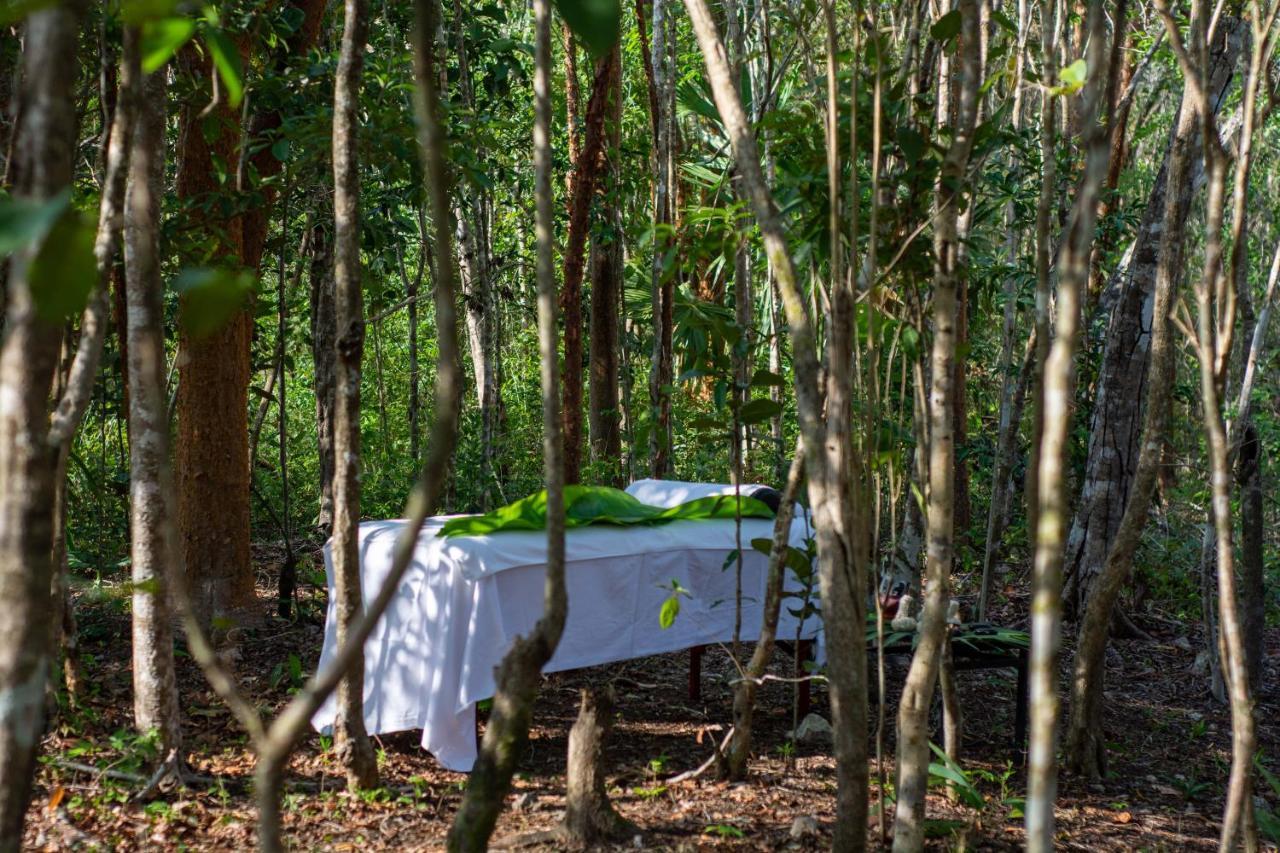 ホテル Aldea Coba An Escape Boutique Experience エクステリア 写真