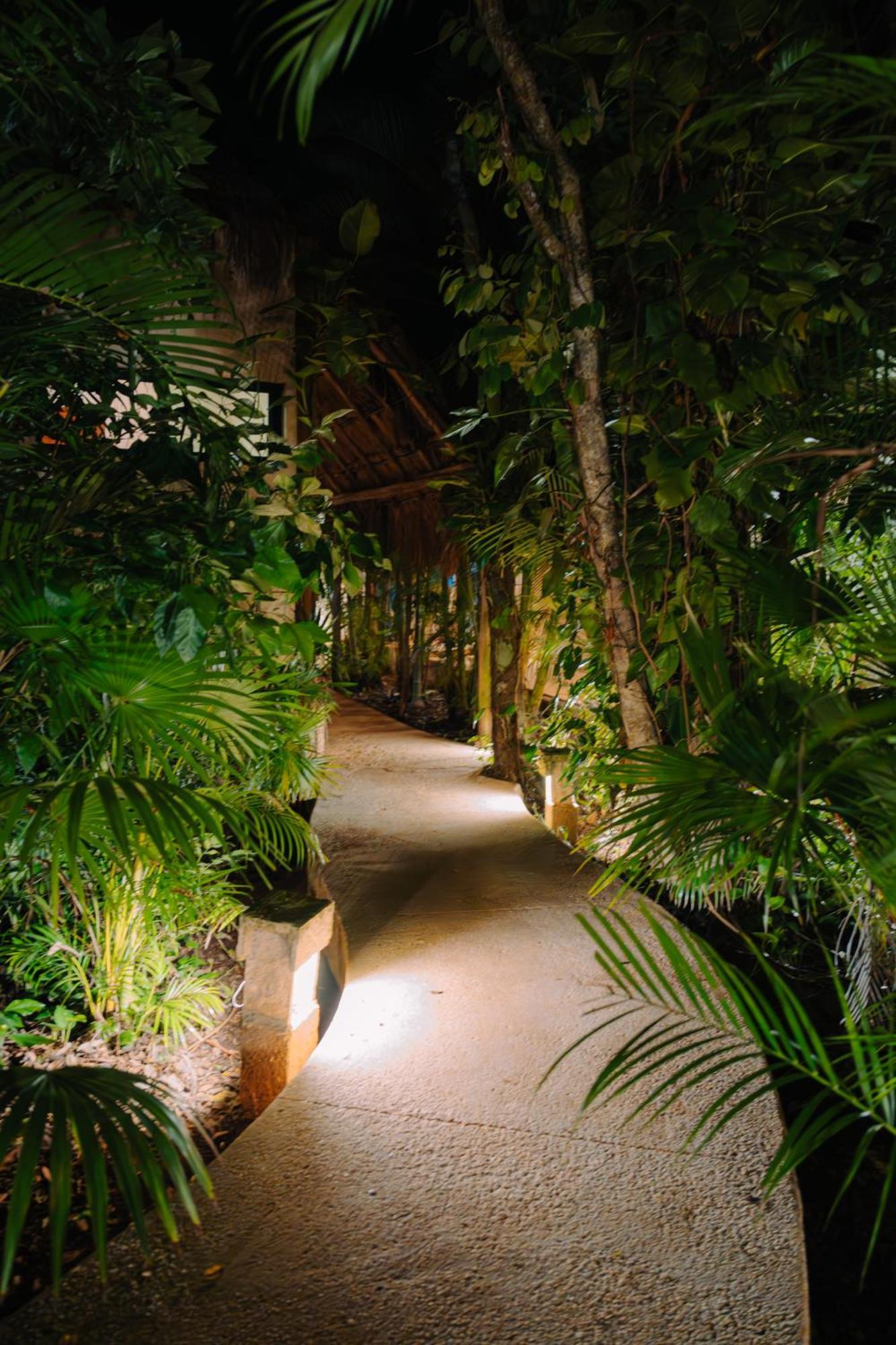 ホテル Aldea Coba An Escape Boutique Experience 部屋 写真